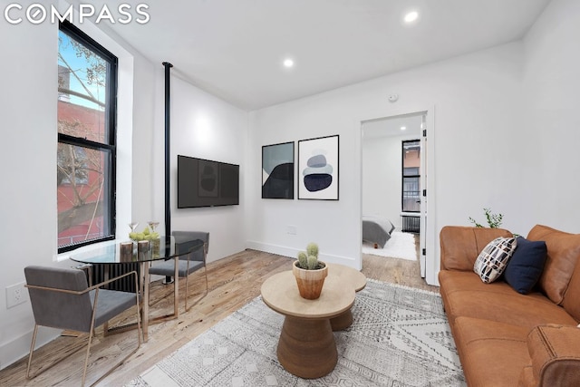 living room featuring light hardwood / wood-style flooring