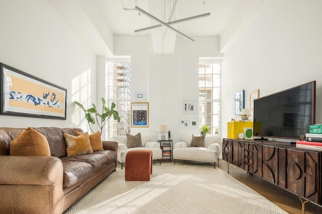 living room with hardwood / wood-style floors