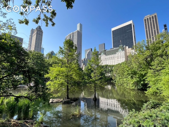 view of home's community featuring a view of city