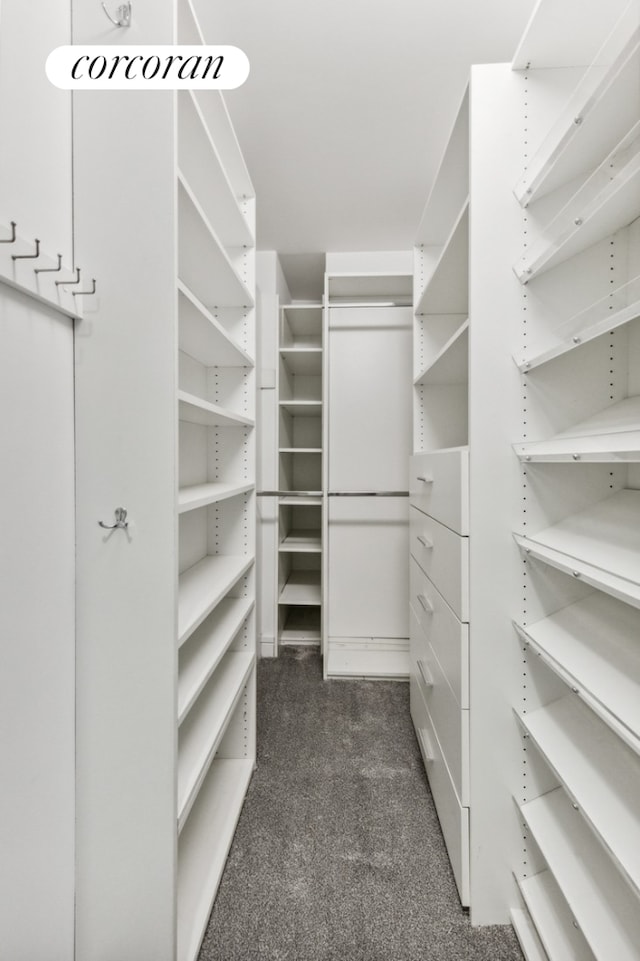 spacious closet featuring dark carpet