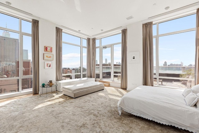 carpeted bedroom featuring access to exterior and a city view