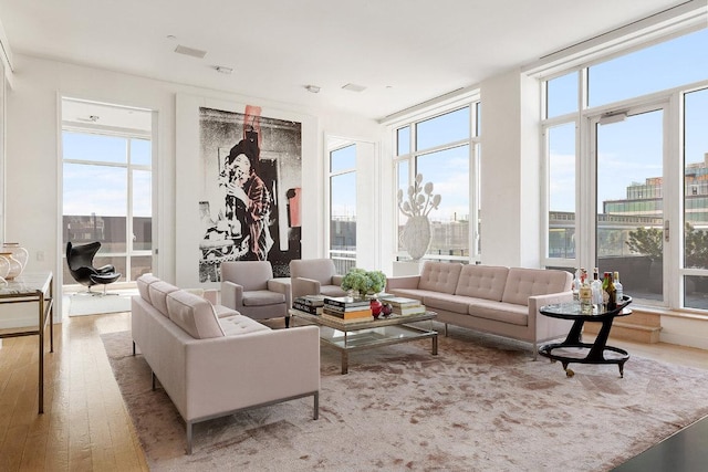 living room with light hardwood / wood-style floors and a wealth of natural light