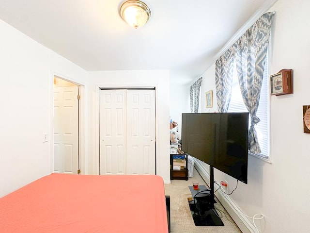 49 Steuben St, New York City, NY 10304 - bedroom featuring a closet and light colored carpet