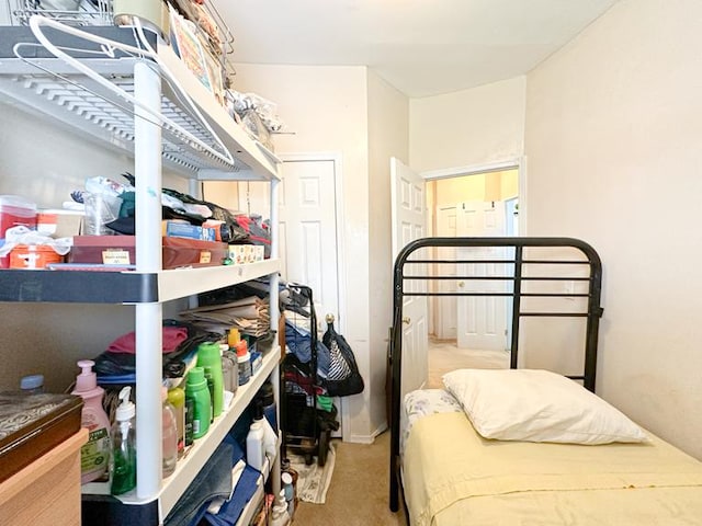 bedroom with carpet flooring