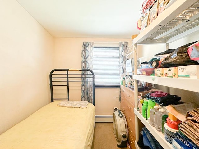 49 Steuben St, New York City, NY 10304 - bedroom with baseboard heating and carpet flooring
