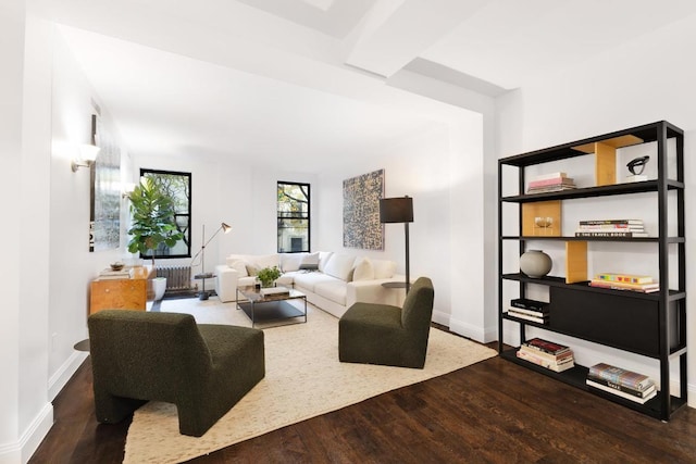 living room featuring dark hardwood / wood-style floors and radiator