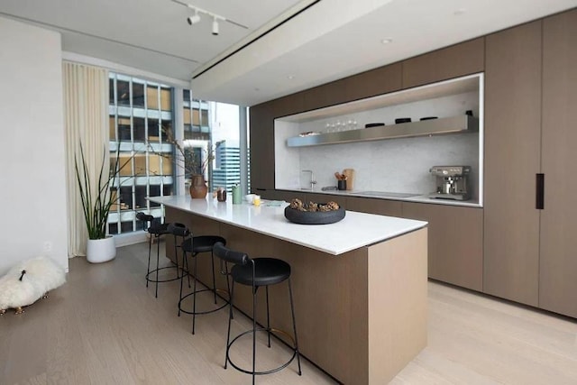 kitchen featuring light hardwood / wood-style floors, a kitchen breakfast bar, decorative backsplash, and a kitchen island with sink