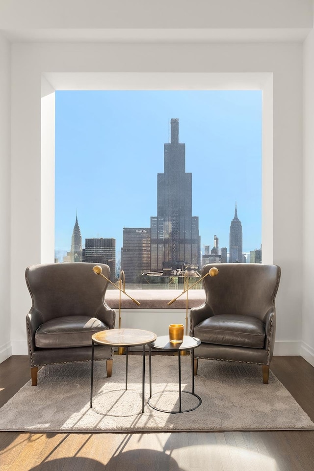 living area featuring a skyline view, baseboards, and wood finished floors