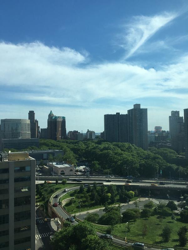 85 Adams St Unit 15-B, New York City, NY 11201 - view of city skyline