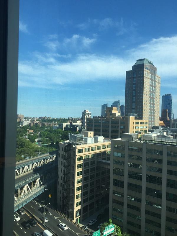 85 Adams St Unit 15-B, New York City, NY 11201 - view of city