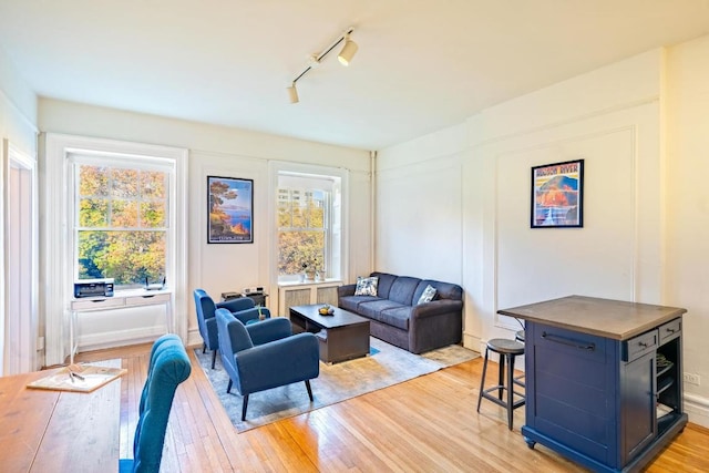 living room with light wood-type flooring, plenty of natural light, and rail lighting