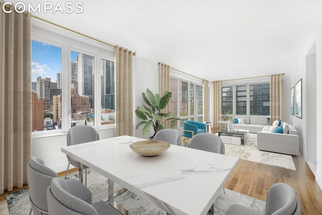 dining space featuring hardwood / wood-style floors