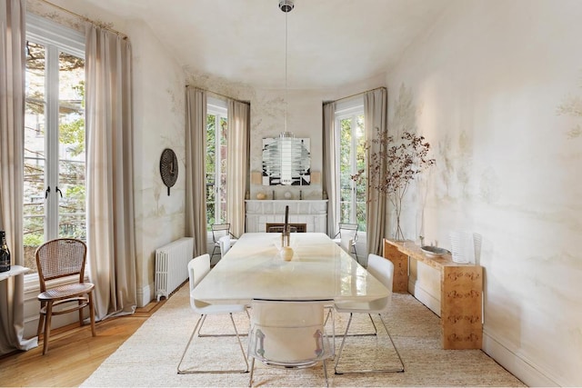 dining room with a fireplace, radiator heating unit, and light hardwood / wood-style floors