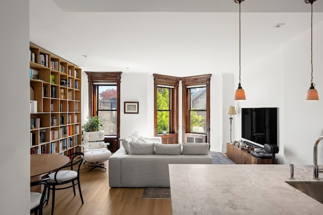 living room featuring sink and hardwood / wood-style flooring