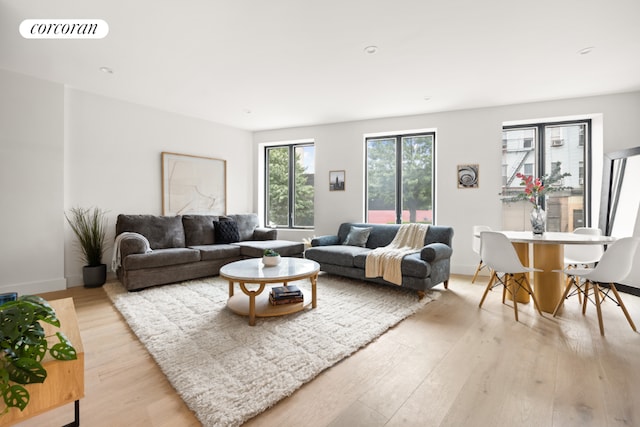 living room featuring light hardwood / wood-style floors