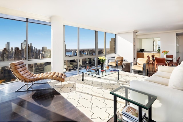 living room with a wall of windows, wood finished floors, a wealth of natural light, and a city view