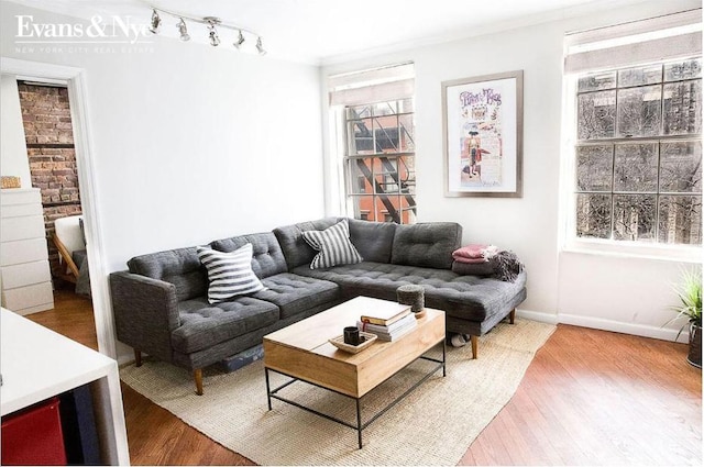 living room featuring hardwood / wood-style floors and ornamental molding