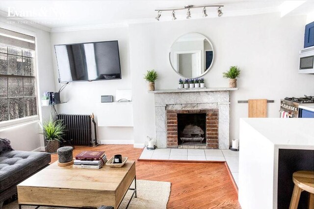 living room featuring a fireplace, light wood-type flooring, radiator, and crown molding