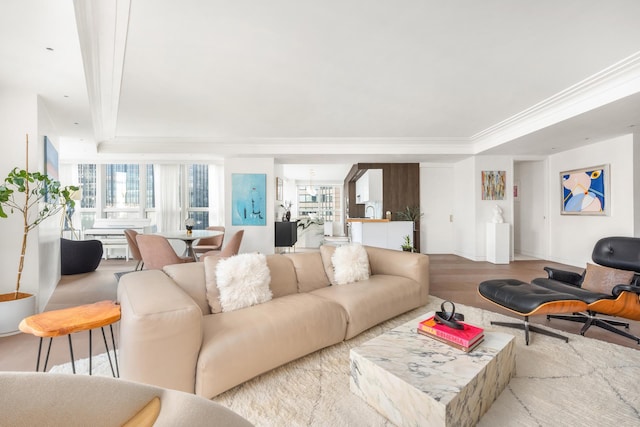 living area featuring wood finished floors, a raised ceiling, plenty of natural light, and crown molding