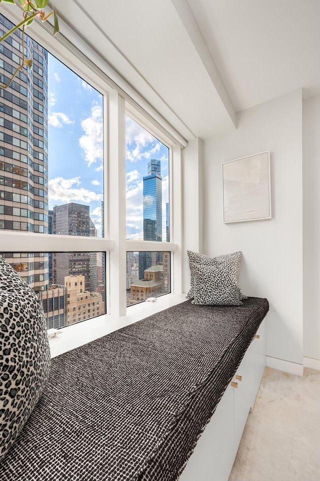 sitting room with a city view and carpet flooring