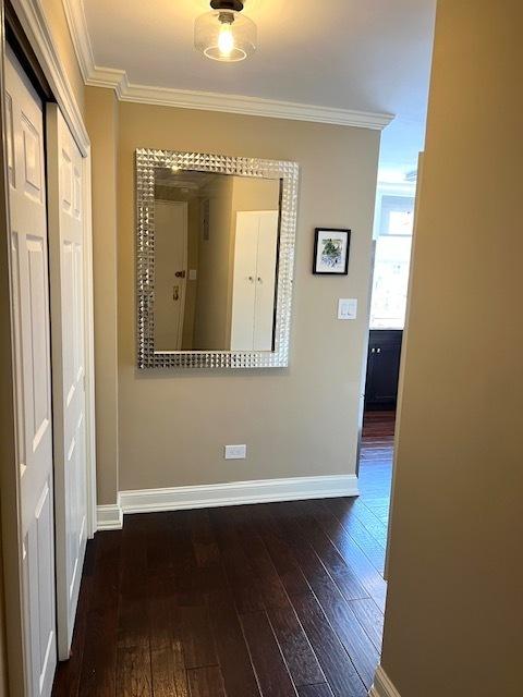 corridor featuring crown molding, baseboards, and hardwood / wood-style flooring