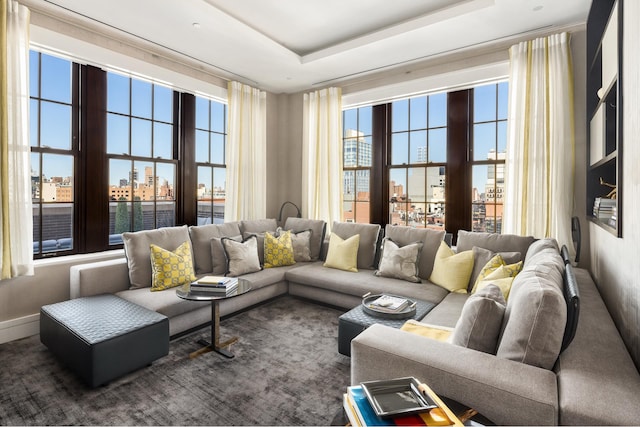 living room with a raised ceiling and a city view