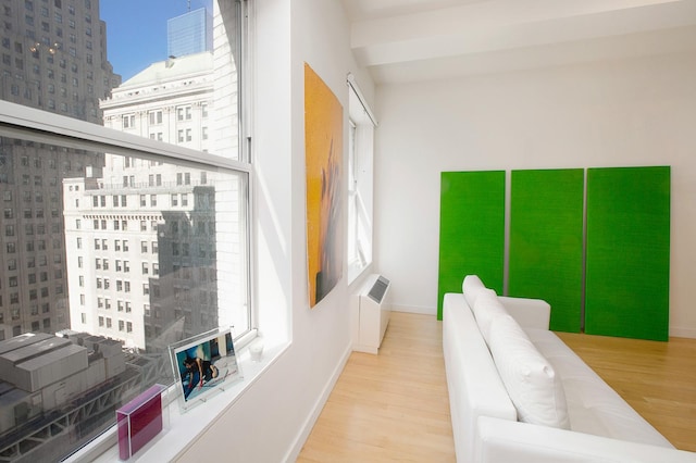 living area featuring radiator heating unit, baseboards, a city view, and wood finished floors