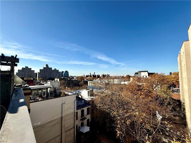 52 3rd Ave Unit 1A, New York City, NY 11217 - city view