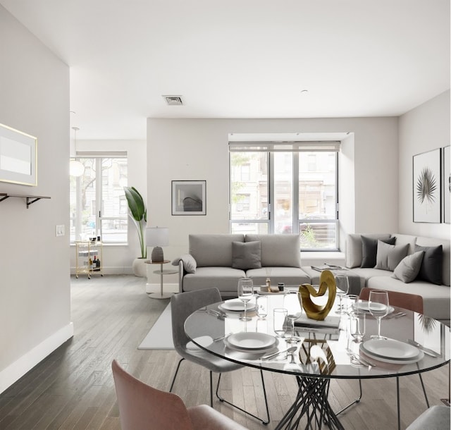 living room featuring hardwood / wood-style floors