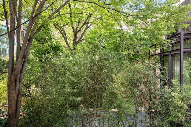 38 W 11th St, New York City, NY 10011 - view of woods