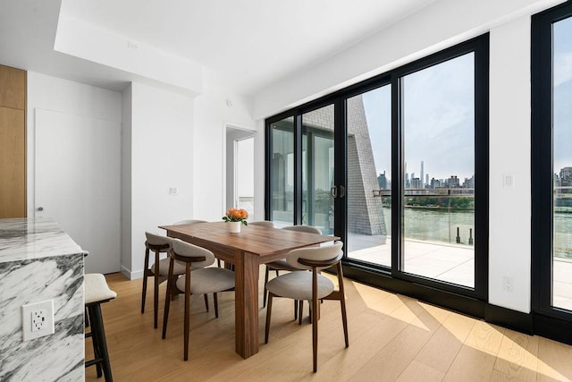 30-05 Vernon Blvd Ph-A, Ph-A New York City, NY 11102 - dining room with light wood-style flooring and a skyline view
