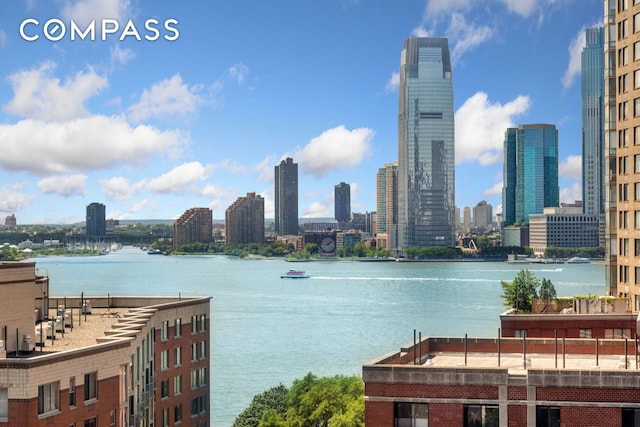 200 Rector Pl Unit 14E, New York City, NY 10280 - water view with skyline
