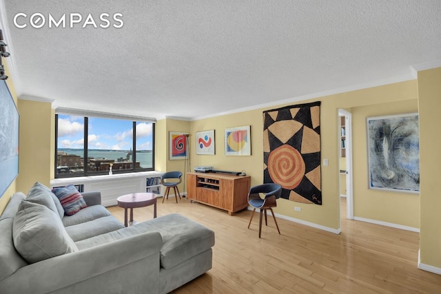 living room featuring crown molding, a textured ceiling, baseboards, and wood finished floors