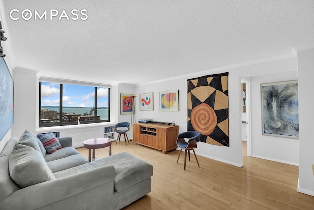 200 Rector Pl Unit 14E, New York City, NY 10280 - living room with a textured ceiling, crown molding, light wood-style floors, and baseboards