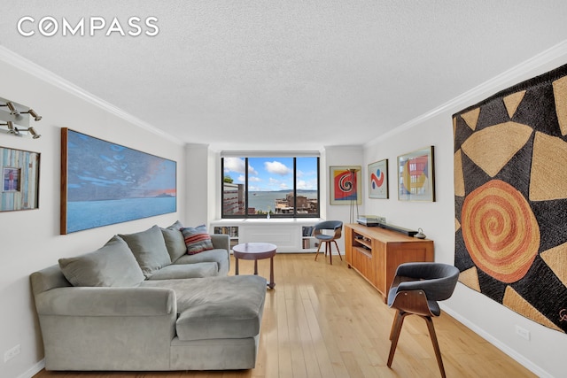 200 Rector Pl Unit 14E, New York City, NY 10280 - living area with crown molding, light wood-style flooring, a textured ceiling, and baseboards