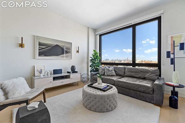 living room featuring wood-type flooring