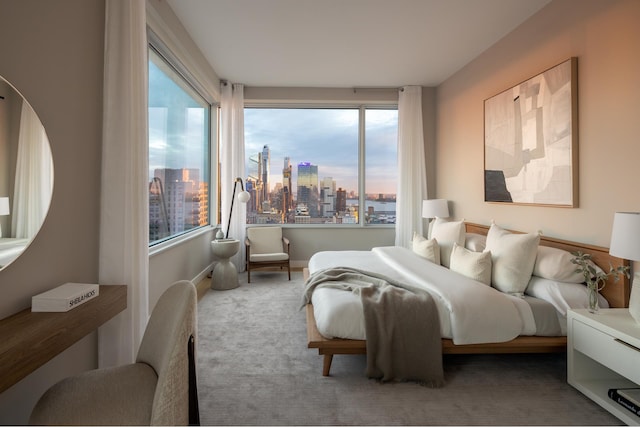 bedroom featuring a city view and multiple windows