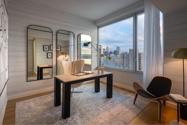 office featuring baseboards, wood finished floors, and healthy amount of natural light