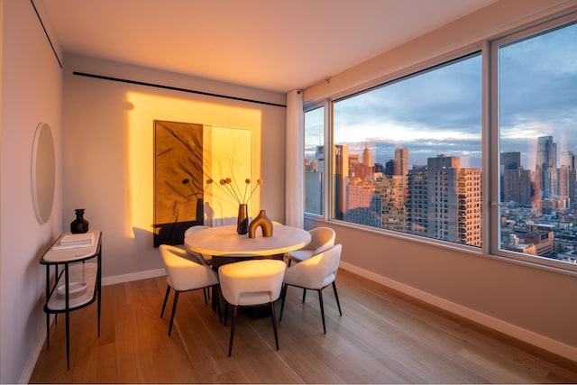 dining area with wood finished floors, a skyline view, and baseboards