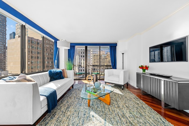 living room featuring baseboards, ornamental molding, wood finished floors, expansive windows, and a city view