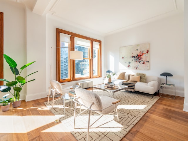 living area featuring wood-type flooring and radiator