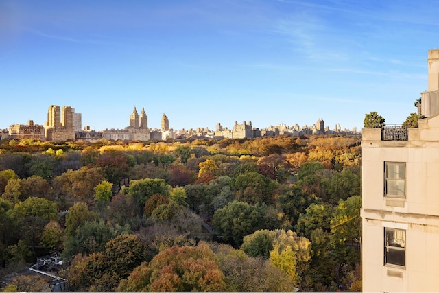 825 5th Ave Unit 15Flr, New York City, NY 10065 - skyline view with a heavily wooded area