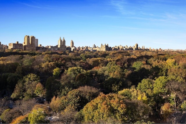 view of local wilderness featuring a city view