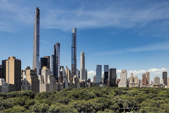 825 5th Ave Unit 15Flr, New York City, NY 10065 - view of city skyline