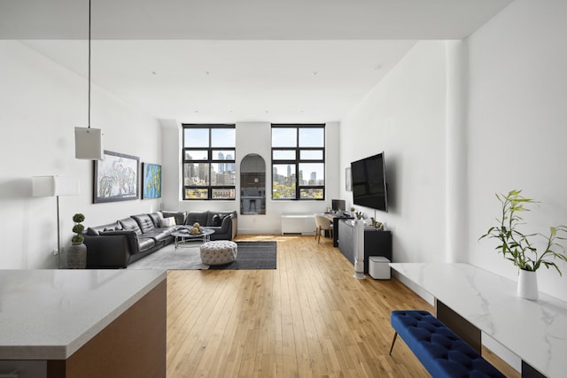 living room featuring light hardwood / wood-style flooring