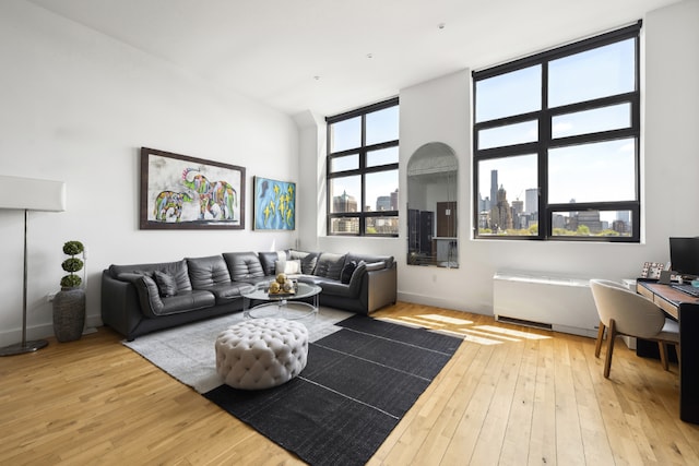 living room featuring light hardwood / wood-style flooring