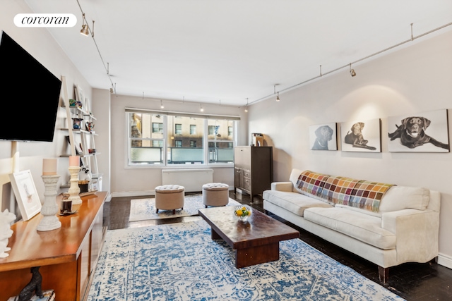 living room with rail lighting and wood-type flooring