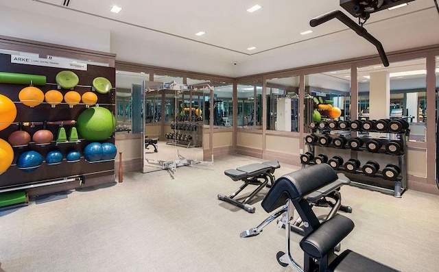 workout area featuring carpet flooring