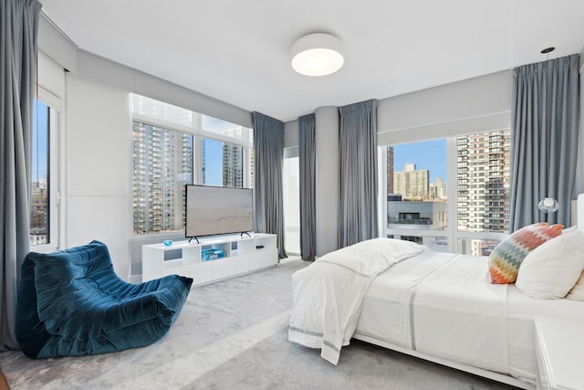 bedroom with carpet flooring