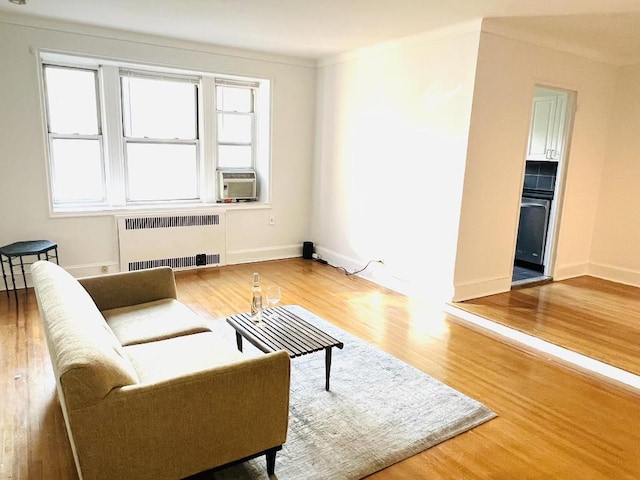 living room featuring hardwood / wood-style floors and radiator